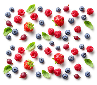 composition of fresh berries and green leaves