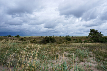 marsh grass and sand dunes on the coast under an overcast and ominous dark sky