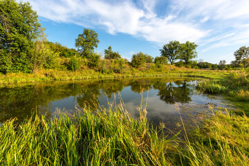 small lake in forest