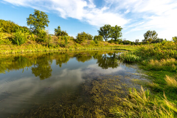 small lake in summer forest