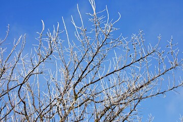 Winter in Deutschland