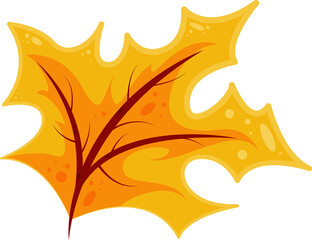 autumn maple leaf vector icon