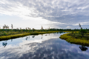 beautiful bog and marsh landscape with small lakes