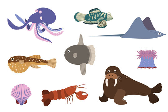 Set of sea animals - octopus stringray walrus omar sunfish. Undersea world habitants print. Hand drawn underwater life collection. Funny cartoon marine animals character for kid.