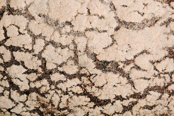 Bread close-up. Cracked bread, pastries. Baking texture.