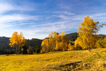Fototapeta premium autumn landscape near saddle Beskyd in Slovakia