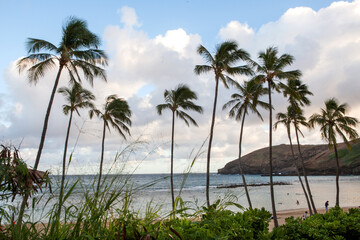 Obraz na płótnie Canvas Hanauma Bay, a marine embayment, located along the southeast coast of Oahu Island in Hawaii.
