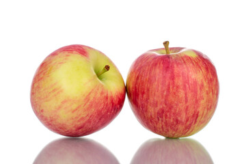 Two ripe organic apples , close-up, isolated on white.