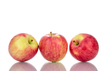Three juicy organic apples , close-up, isolated on white.