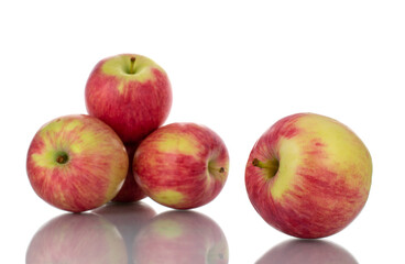 Several juicy organic apples, close-up, isolated on white.