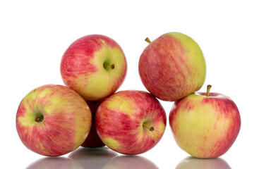 Several juicy organic apples, close-up, isolated on white.