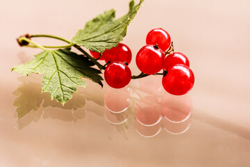 Red currant berries, green leaves  and their reflection isolated on glass background