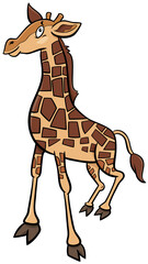 cute baby giraffe animal character cartoon illustration
