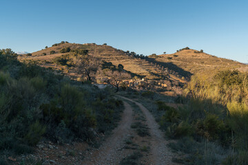 dirt road in the mountain