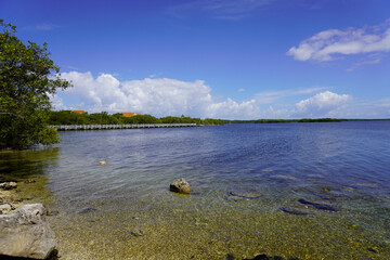 Biscayne National Park in southern Florida. Jetty Walk lined with Mangrove Trees on Biscayne Bay....