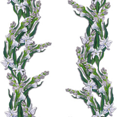 Tuberose - branches. Seamless pattern. medicinal, perfumery and cosmetic plants on a watercolor background. Wallpaper. Use printed materials, signs, posters, postcards, packaging.