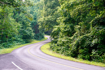 Obraz premium Blue Ridge Parkway winding its way through the woods of Virginia's Appalachian Mountains. Photo taken from Yankee Horse Ridge Overlook parking area near mile 34. 