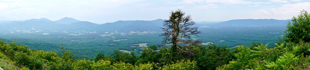 Panoramic view from the Devils Backbone overlook on the Blue Ridge Parkway in Virginia. Cahas Mountain, Blackwater Valley, Grassy Hill, Cahas Knob, and Pine Spur. 