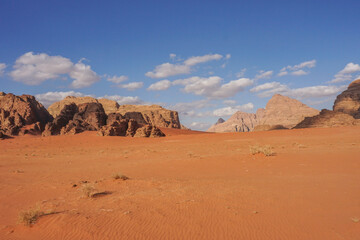 Fototapeta na wymiar a sandy plain in the Wadi Rum desert, beautiful red relief mountains are on the horizon, a few white clouds are in the blue sky, a few dry bushes are on the sand