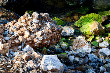 stones on the beach
