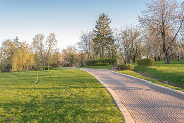 Walking in the Park. Beautiful landscape.