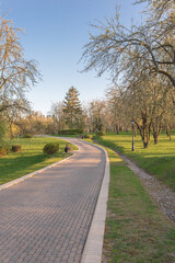 Beautiful green park on summer day.