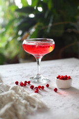 This photo shows lingonberry drink, cocktail. 