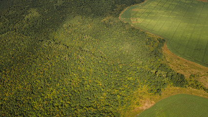 summer landscape in the wild Russian hinterland
