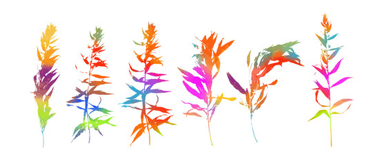The object is a graceful multicolored twig with leaves. Set of rainbow beautiful twigs. Mixed media. Vector illustration