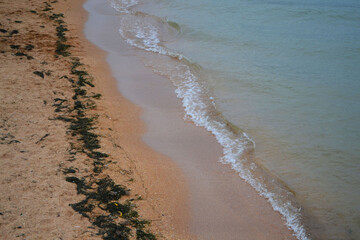 beach in the morning