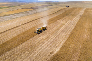 Harvesting of wheat in summer. Mowing of wheat field with combine Harvester.