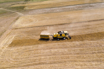 Fototapeta na wymiar Harvesting of wheat in summer. Mowing of wheat field with combine Harvester.