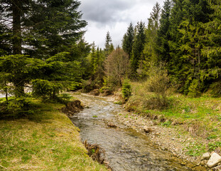 Fototapeta na wymiar Kamianka river at the Carpathian mountains