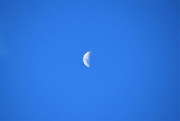 lua no céu do Cerrado