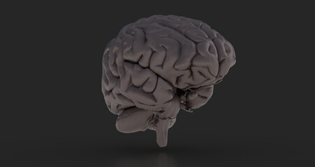Human brain activity with plexus lines.. External cerebral connections in the frontal lobe.