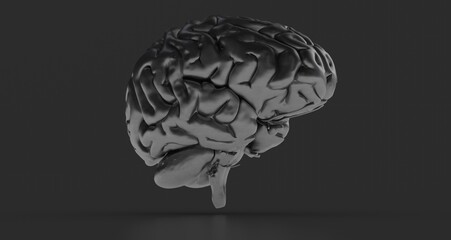 Human brain activity with plexus lines.. External cerebral connections in the frontal lobe.