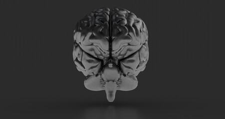 Human brain activity with plexus lines.. External cerebral connections in the frontal lobe.