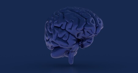 Creative background, the human brain on a blue background, the hemisphere 3d
