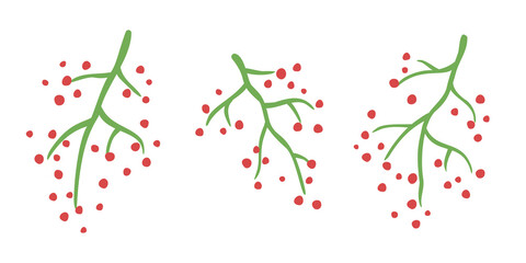 Vector set of branches with small berries. Hand drawn botanical elements isolated on white background.