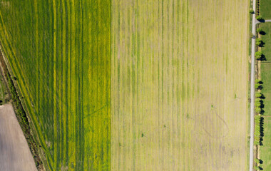 Fields. Sown fields. Square plots of fields. View from above. Aerial photography