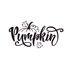 Obraz premium Pumpkin handwritten text, calligraphy, vector illustration isolated on white background. Template with hand lettering, pumpkin, leaves for thanksgiving day, invitation, poster. Autumn greeting card