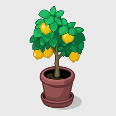 Lemon tree in the pot. Vector illustration. Can be used as an interior element.