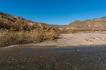 Fototapeta na wymiar river with water in the south of Spain