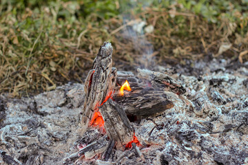 Summer bonfire in the wild