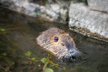Impressionen aus Osterwieck am Fallstein Landkreis Harz