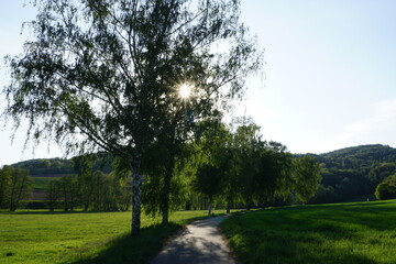 Odenwald pur