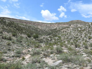 Scenic view of the desert landscape off State Route 260, in the Coconino National Forest, Yavapai County, Camp Verde., Arizona.