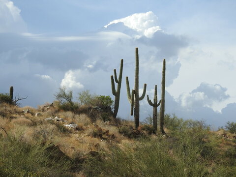 The beautiful scenery of the Sonoran Desert landscape along Interstate highway 17 in Yavapai County, Arizona.
