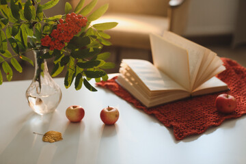 autumn still life with a rowan branch in a vase, book and apples in a cozy home interior