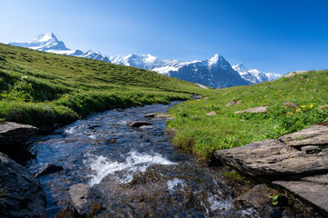 un ruisseau qui coule à travers les alpages avec une chaine de montagne enneigées